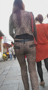 全身豹纹，哪得遇到