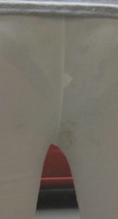 透明白裤深深内痕OL