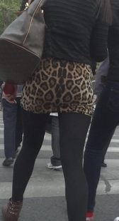 街拍豹纹性感黑丝