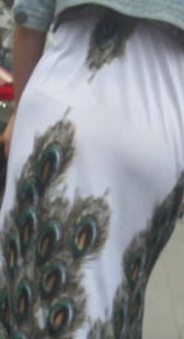 这是孔雀开屏吗