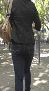 林荫大道风景好