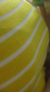 性感紧牛美胸器