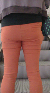 重口味宽臀上电梯