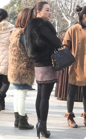 短裙紧身体型裤美女少妇