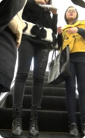 街拍紧身裤美眉身材高挑十分性感