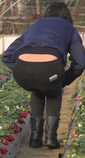 4K首秀大屁股小少妇摘草莓