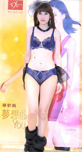 Audrey奥黛莉秋冬新品内衣秀