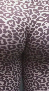 豹纹口味超重少妇