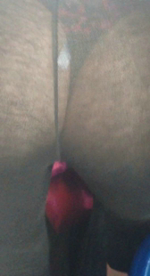 性感透明丁字裤