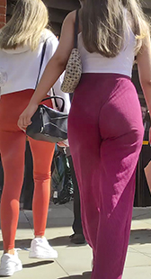 Polémiquement incorrect