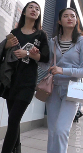 贴身软体裤套装美女OL