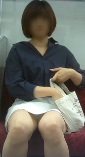 電車対面観察記録