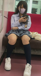 テリアミススJK